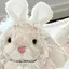 海燕のプロフィール画像