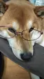 えりちゃんのプロフィール画像