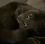 ひなのプロフィール画像
