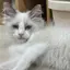 みなみのプロフィール画像