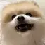 ケンシロウのプロフィール画像