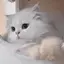 krのプロフィール画像