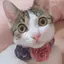 まにたんのプロフィール画像