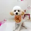 綾娜のプロフィール画像