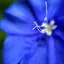 菜子のプロフィール画像