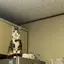 ほのプロフィール画像