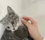 きーちゃんのプロフィール画像