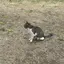 さきのプロフィール画像