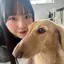 ののかのプロフィール画像