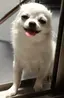viviのプロフィール画像