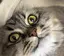 ひでまるのプロフィール画像