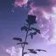 ななのプロフィール画像