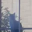 Junのプロフィール画像