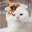 ののちのプロフィール画像