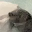 kのプロフィール画像