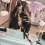そらのプロフィール画像
