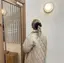 宮石 千愛のプロフィール画像