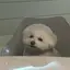 nのプロフィール画像