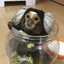 Namiのプロフィール画像