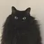 いわしのプロフィール画像