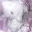 saのプロフィール画像