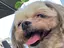 ミヤザキのプロフィール画像