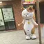 謙真のプロフィール画像