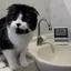 パンのプロフィール画像
