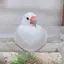 みさきのプロフィール画像