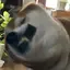 ものプロフィール画像