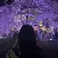 にゃんのプロフィール画像