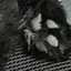 Rのプロフィール画像