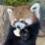 まるのプロフィール画像