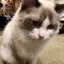 Qのプロフィール画像