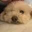 moonのプロフィール画像