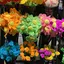 花恋のプロフィール画像