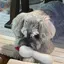 あのプロフィール画像