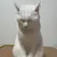 りぃママのプロフィール画像
