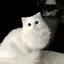 みのプロフィール画像