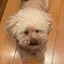 みのプロフィール画像