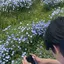 小桜のプロフィール画像