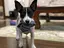 ふうたのプロフィール画像