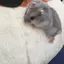 ゆうのプロフィール画像