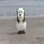 コユキのプロフィール画像