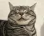 はのプロフィール画像