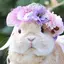 ゆかおのプロフィール画像