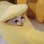 にゃのプロフィール画像