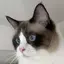 みのプロフィール画像
