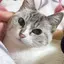 アヤのプロフィール画像