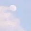 mのプロフィール画像